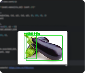 Facial redaction technology